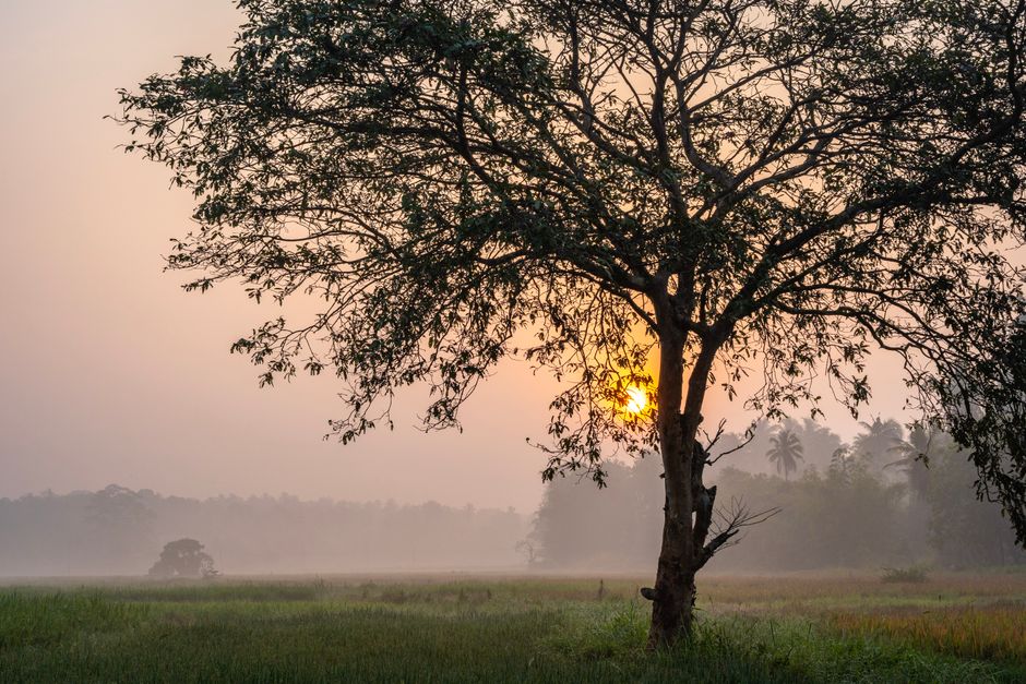 تصویر مرتبط با موضوع مقاله